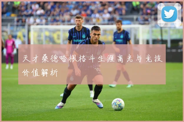 天才桑德哈根格斗生涯高光与竞技价值解析